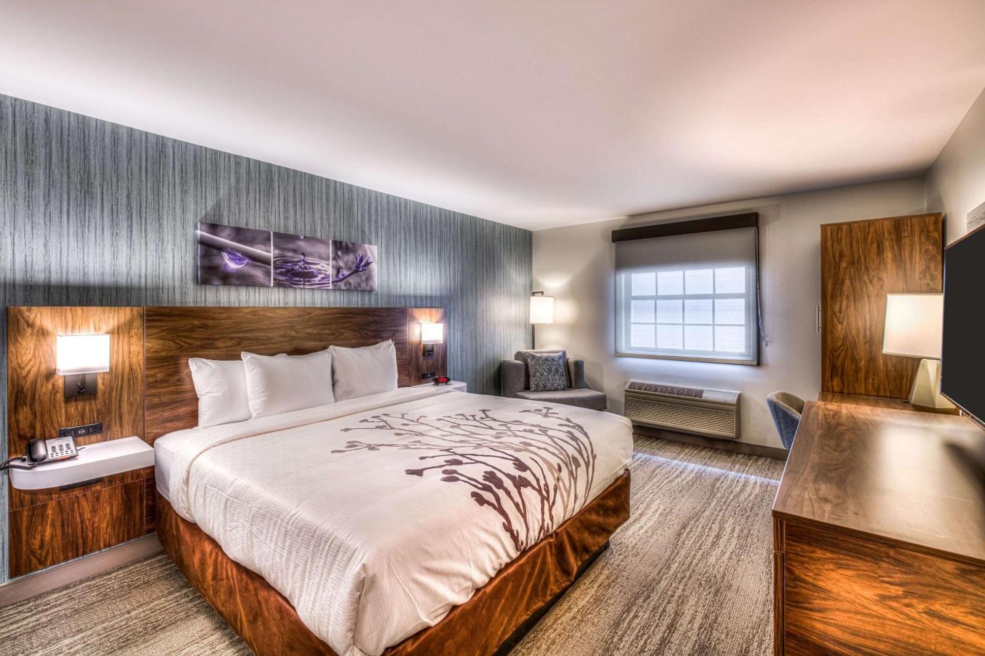 Sleep - Chicago Inn